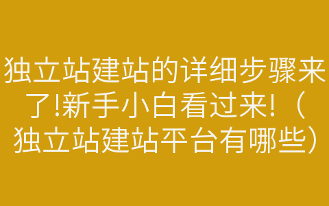 独立站建站的详细步骤来了!新手小白看过来!（独立站建站平台有哪些）